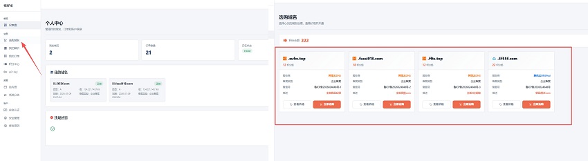 备案域名选购解析流程